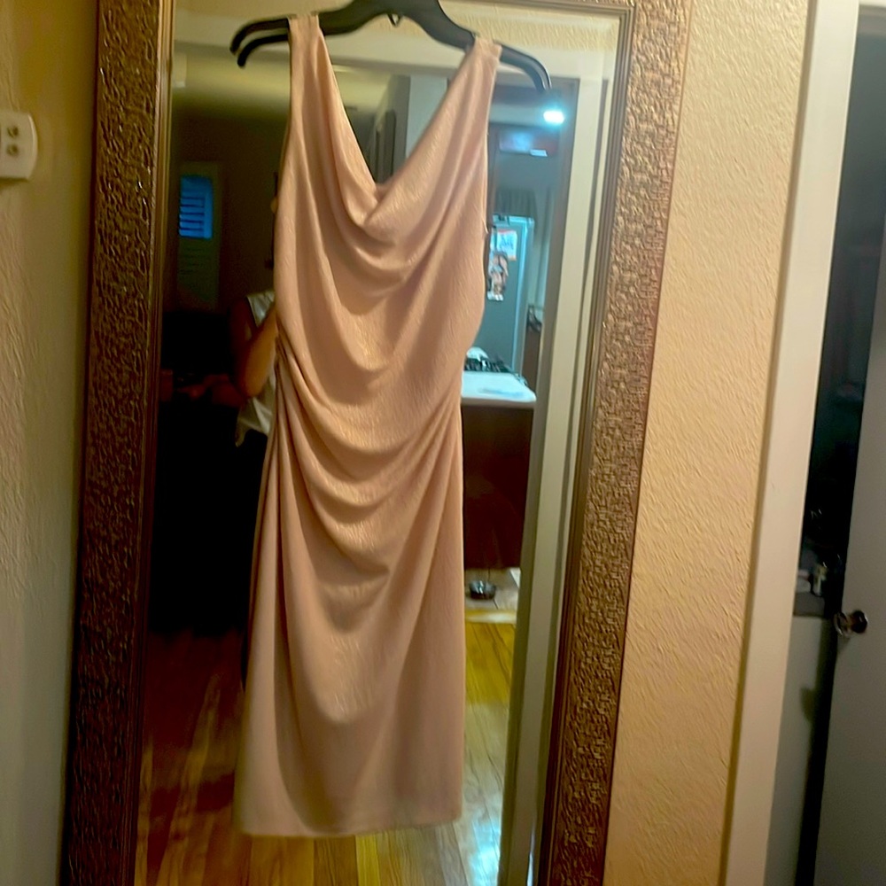 Kensie  dressy dress.